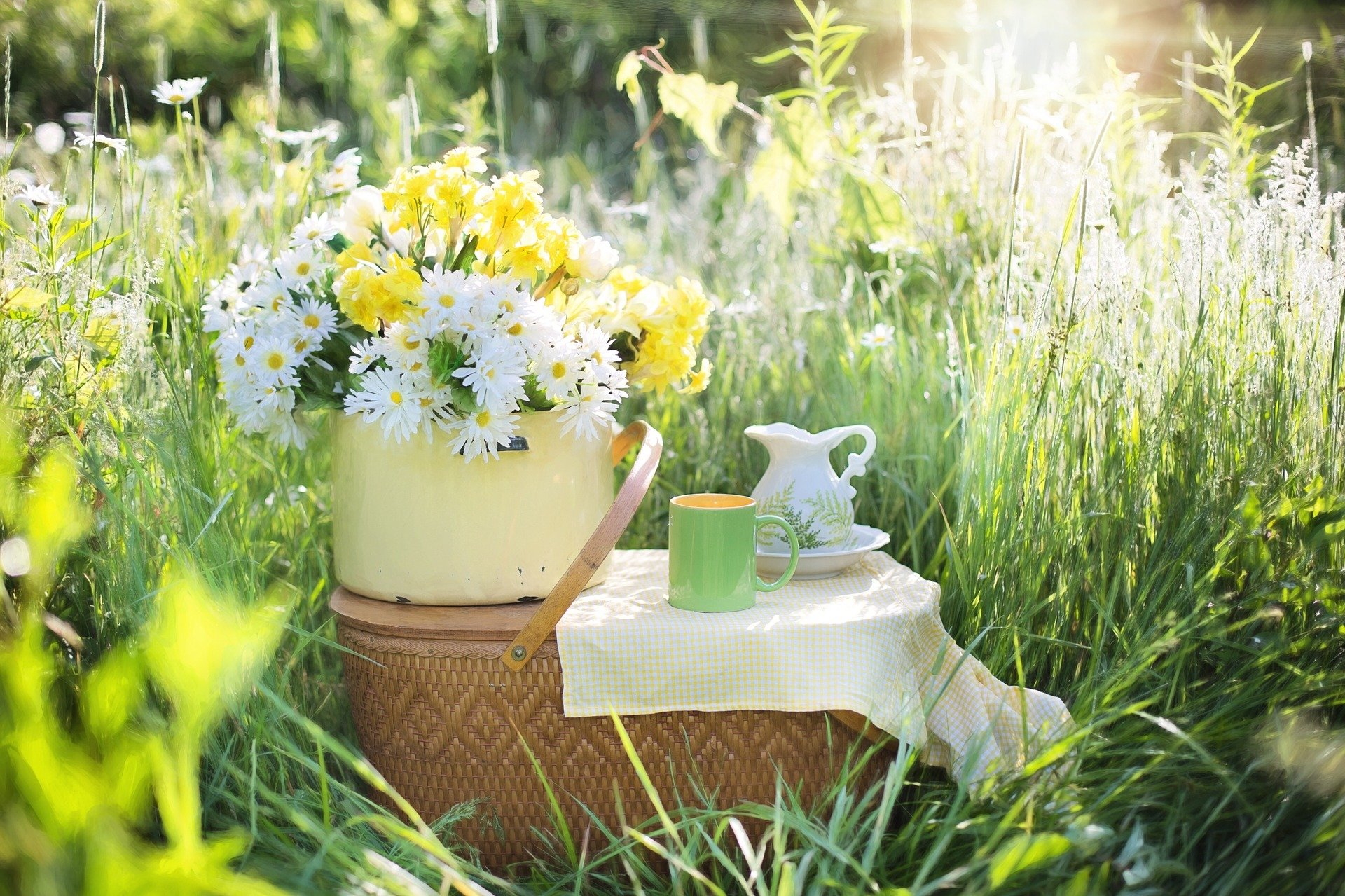 Kaffee in grüner Wiese