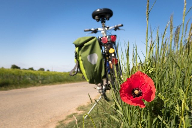 Grüner Sommer – Wir radeln nach Rieben