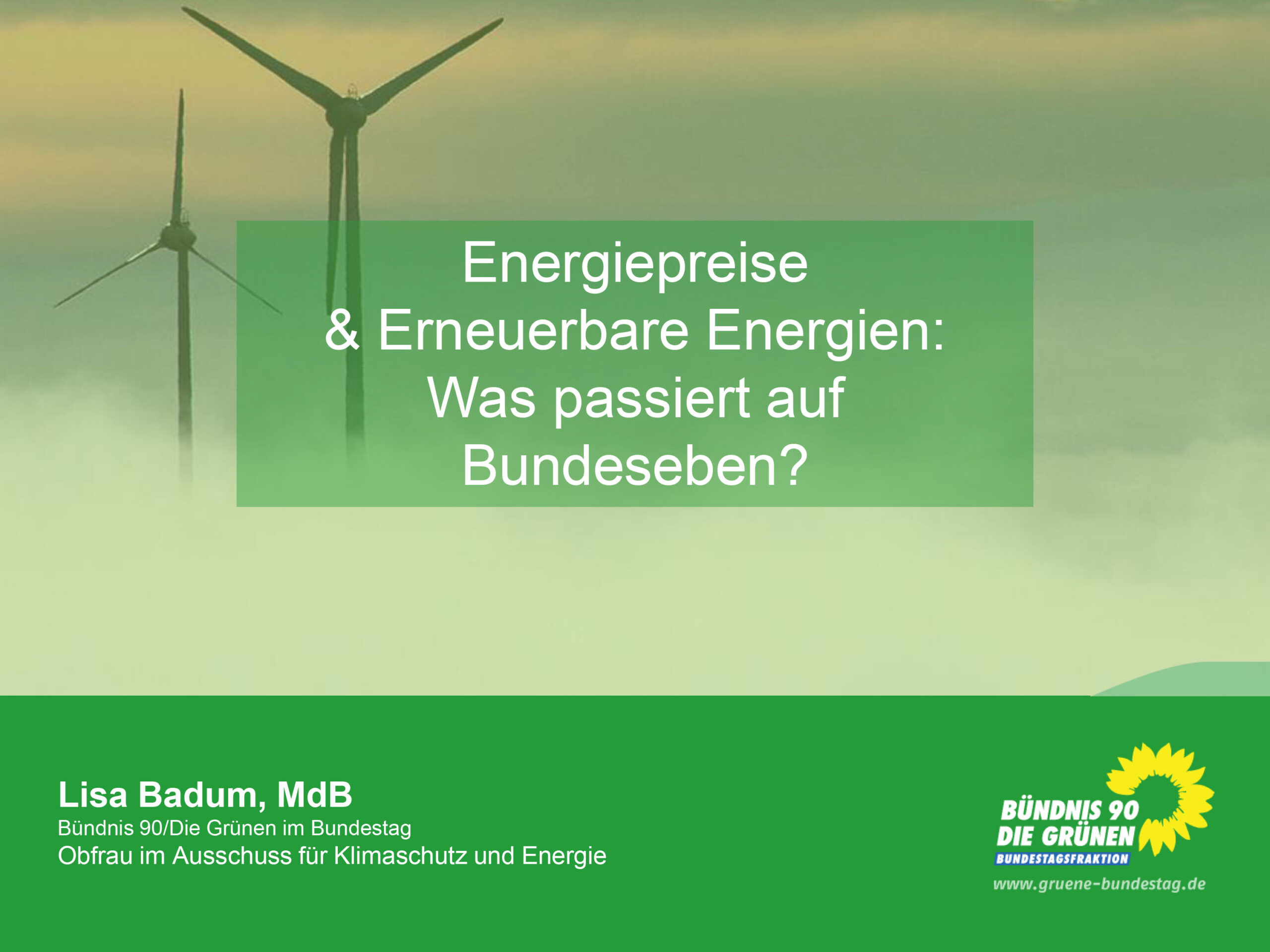 Energiepreise und Erneuerbare Energie