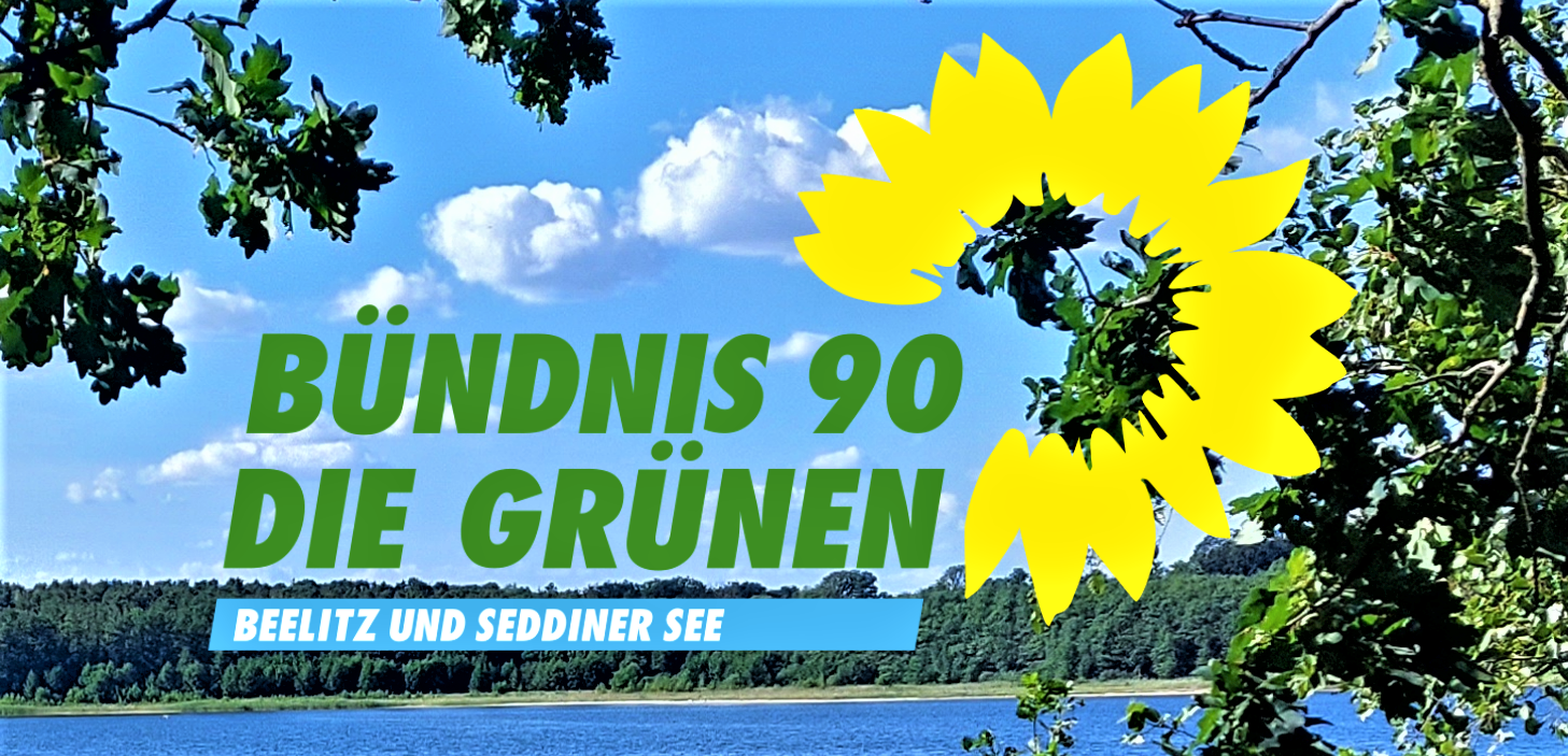 Logo B90/die Grünen Beelitz und Seddiner See