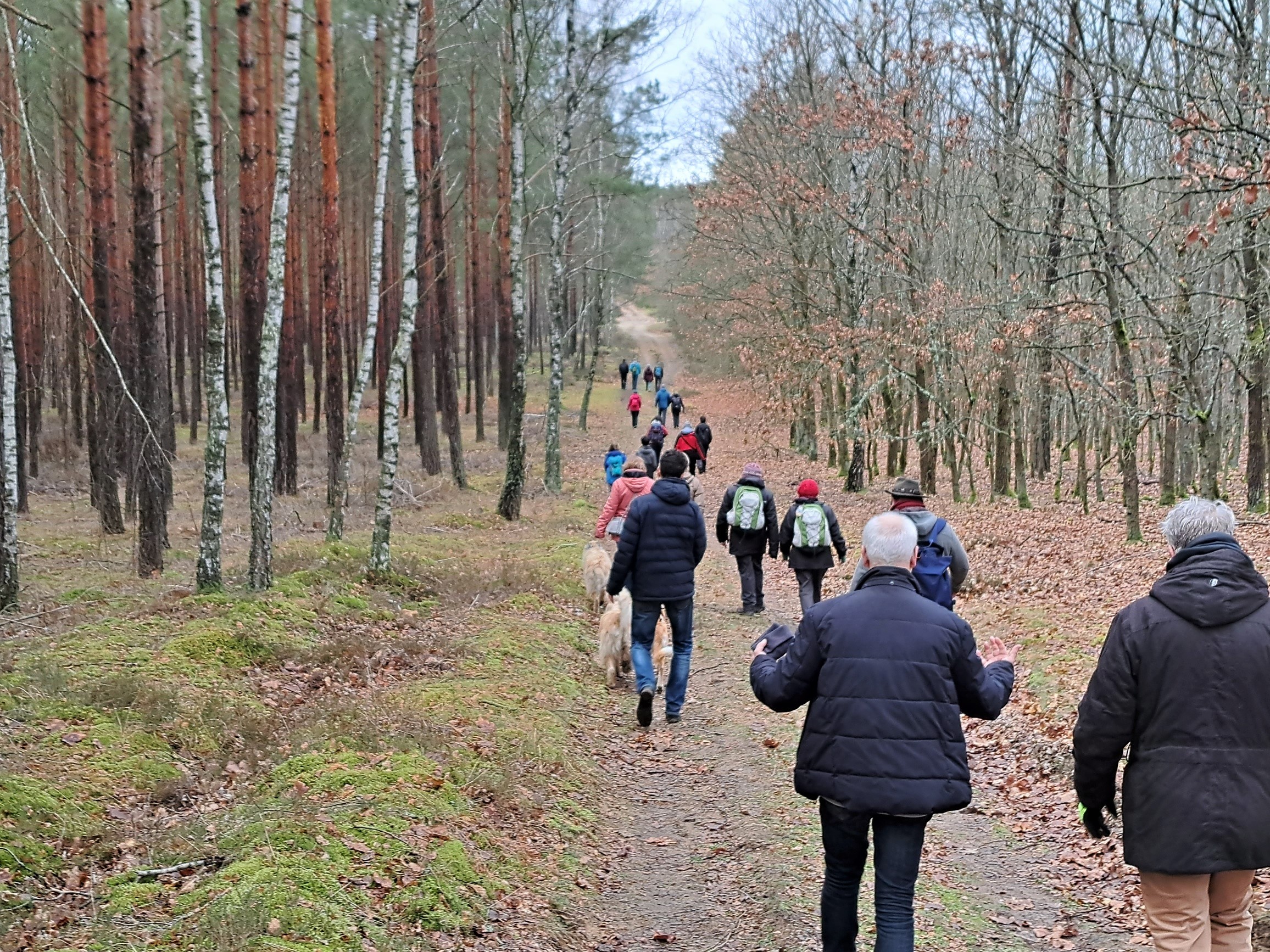 Wandergruppe zwischen Laub- und Nadelforst