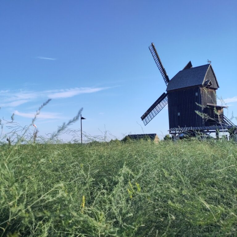 Ein sonniger Nachmittag auf dem Spargelrundweg