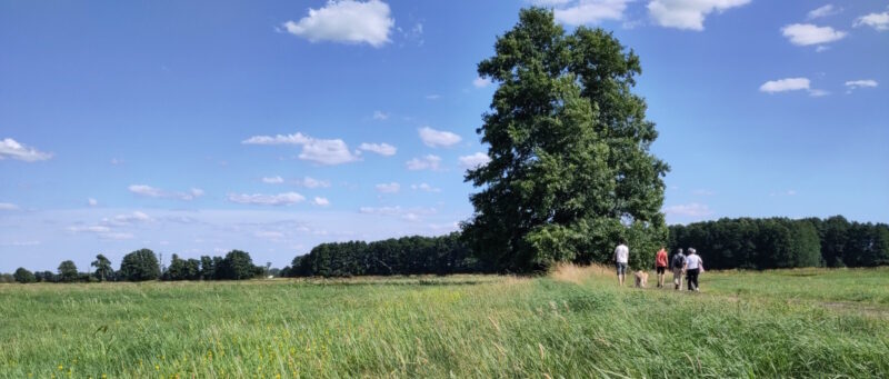 Unterwegs durch die Nieplitz-Wiesen